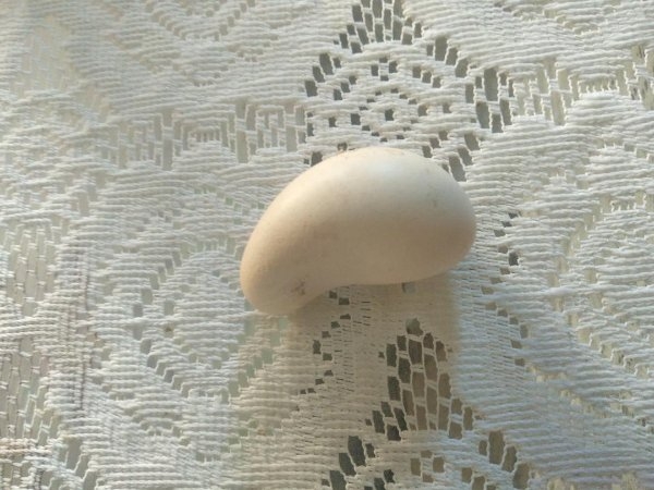 randompics594_070