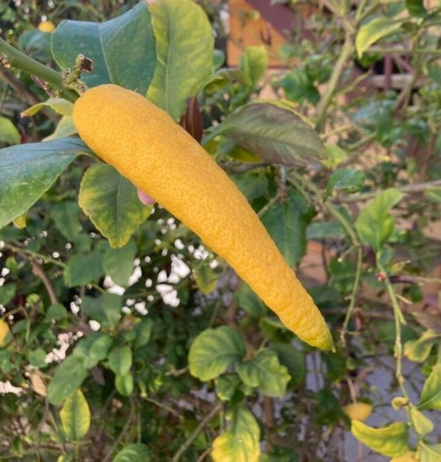 randompics599_066