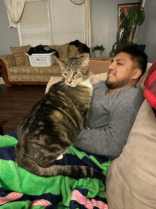 rescueanimals3_005