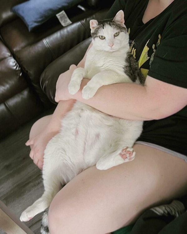 rescueanimals3_029