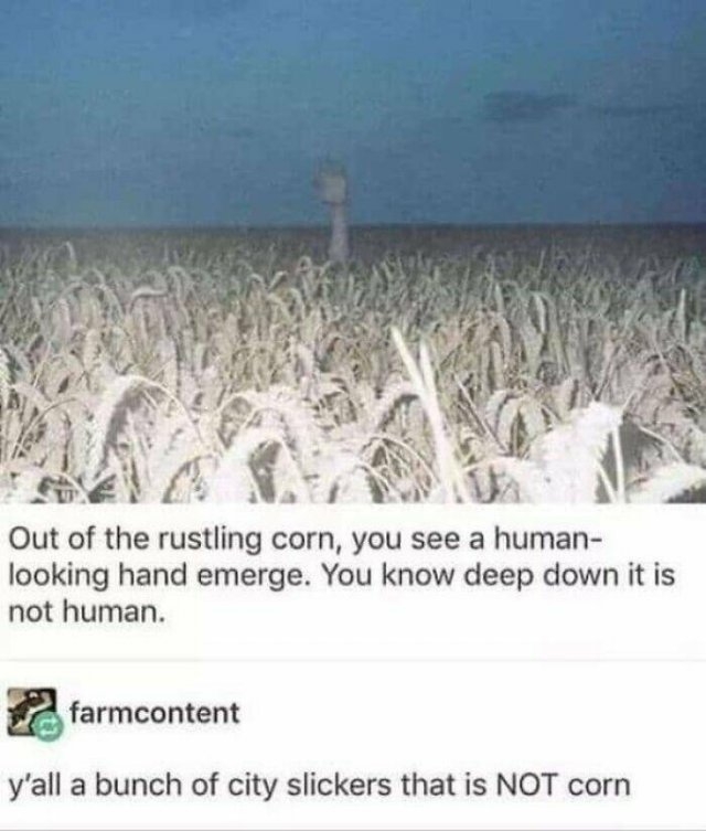 scarypictures6_001