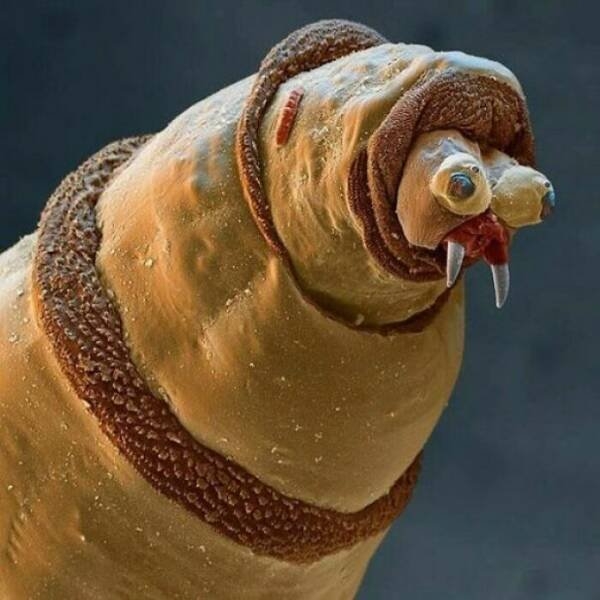 scarypictures6_005