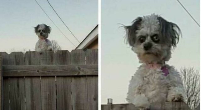 scarypictures6_011