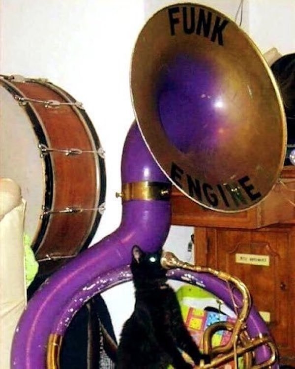 strangemusicalinstruments_026