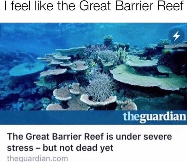teachermemes2_012