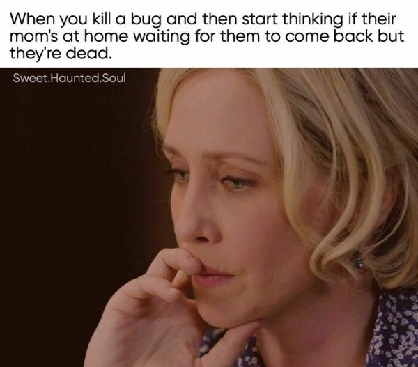teachermemes2_031