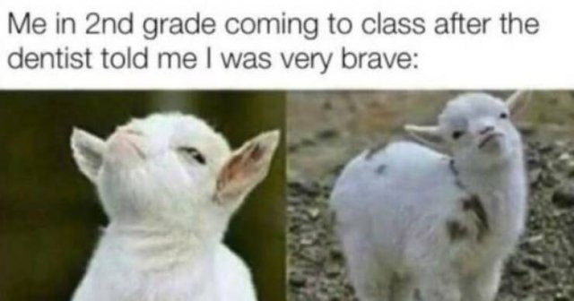 teachermemes2_047