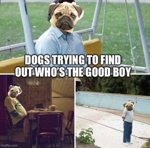 teachermemes2_051
