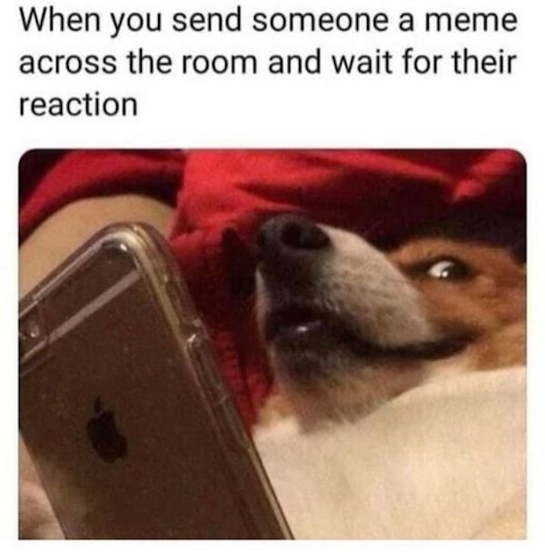 teachermemes3_053