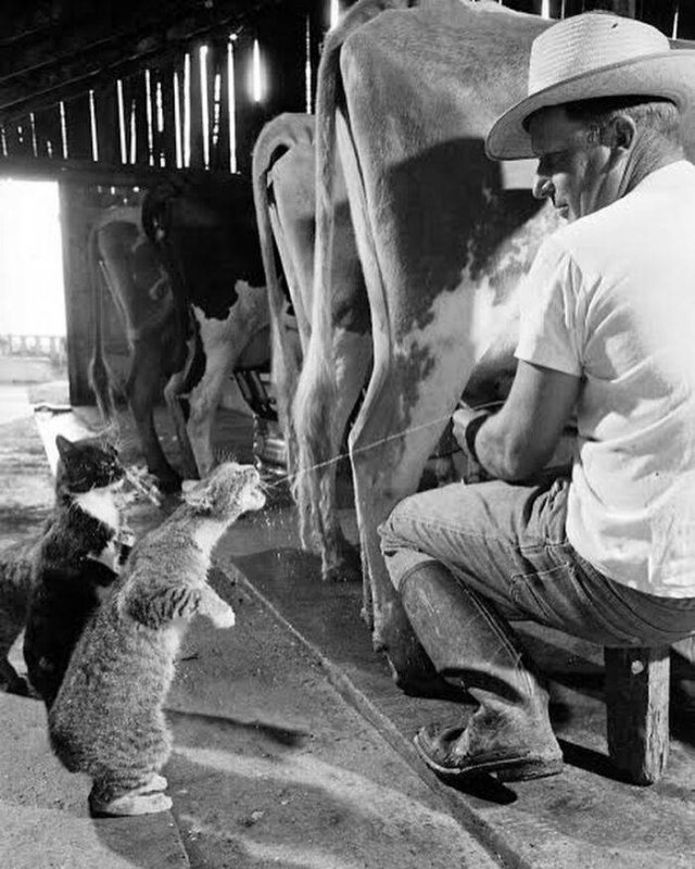 vintagephotos4_029