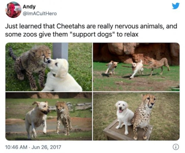 wholesome10_016