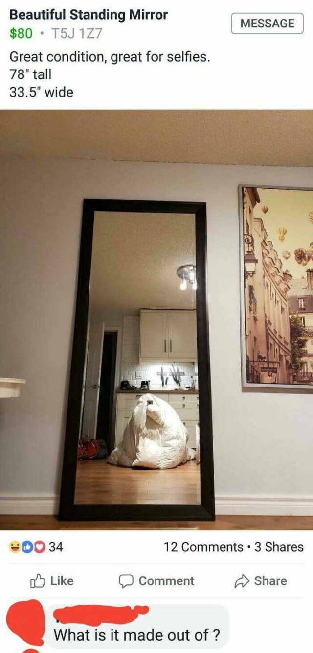 artisticselfiesbymirrorsme2_001