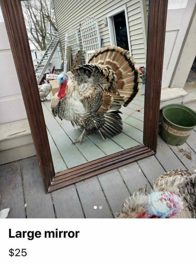 artisticselfiesbymirrorsme2_011