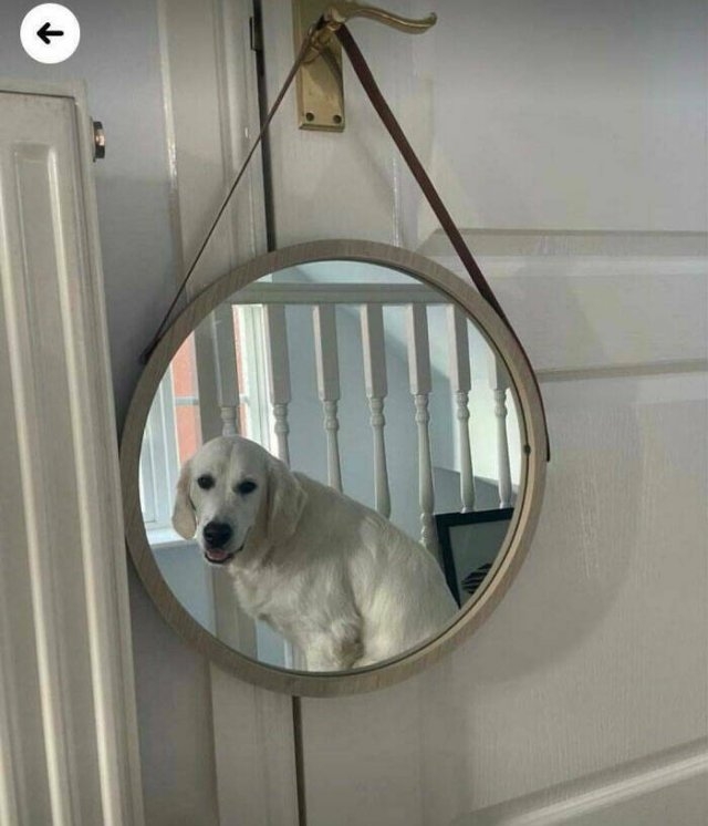 artisticselfiesbymirrorsme2_015