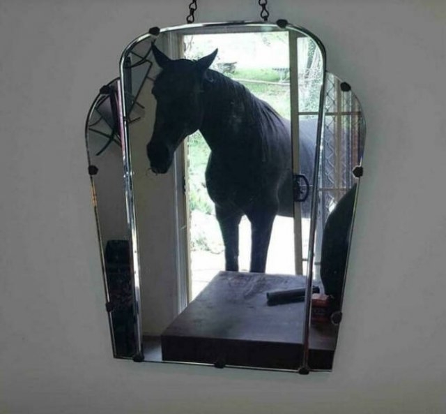 artisticselfiesbymirrorsme2_028