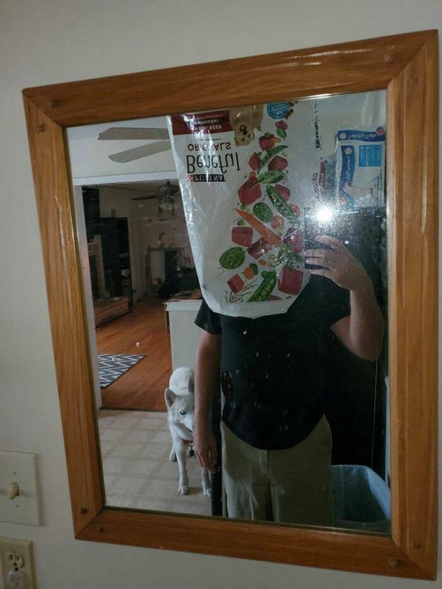 artisticselfiesbymirrorsme2_032