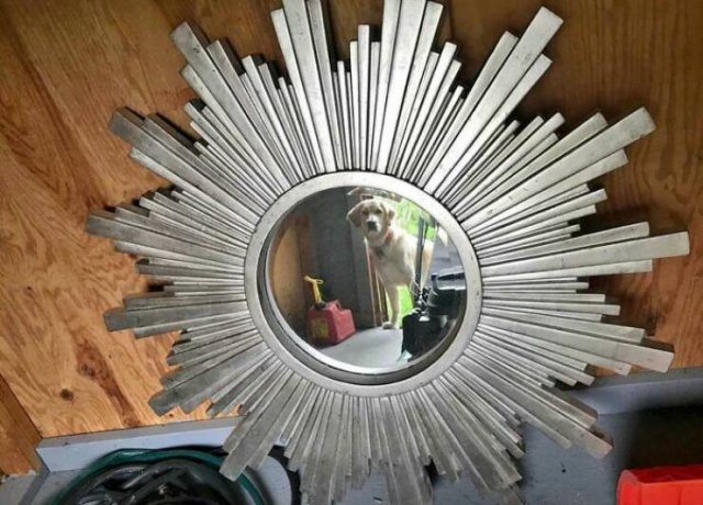 artisticselfiesbymirrorsme2_037