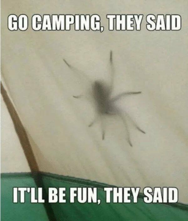 campingmemes_015