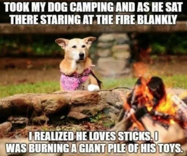 campingmemes_021