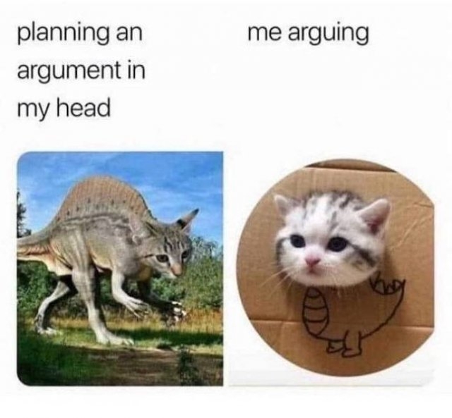 catmemes2_011