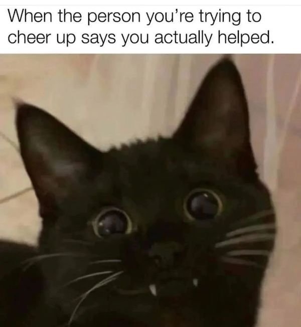 catmemes2_026