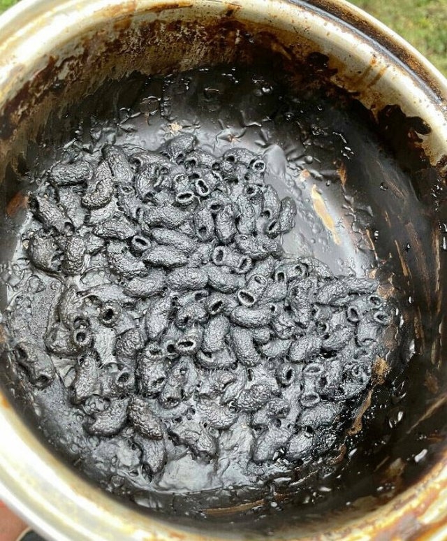 cookingfails_018