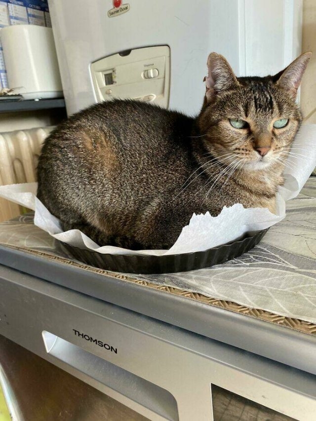 cookingfails_029