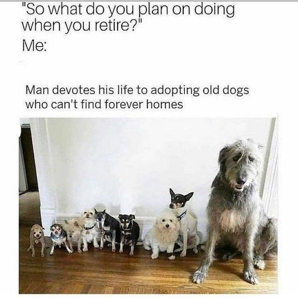 dogmemes3_011