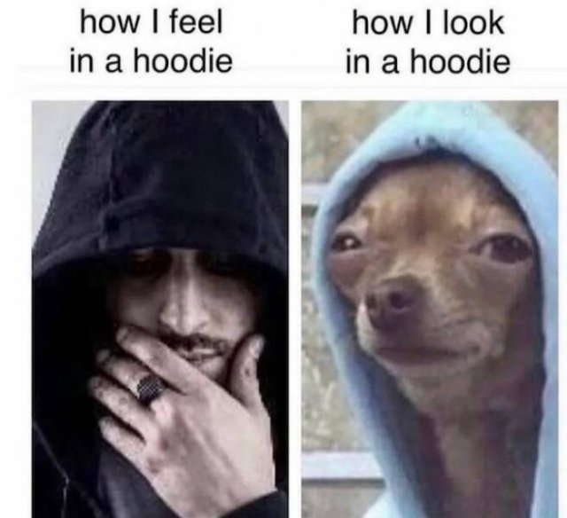 dogmemes3_037