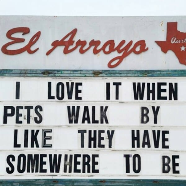 funnytexassigns_026