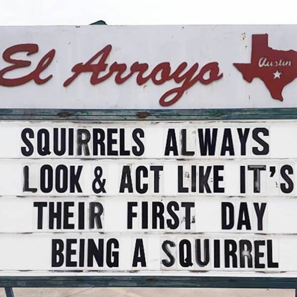 funnytexassigns_030