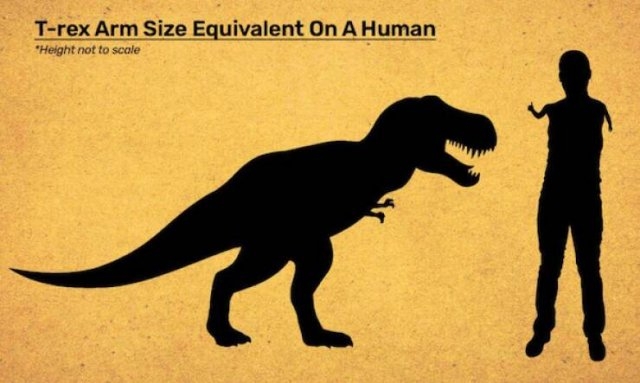 interestingdata22_002