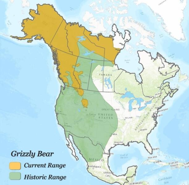 interestingdata22_005