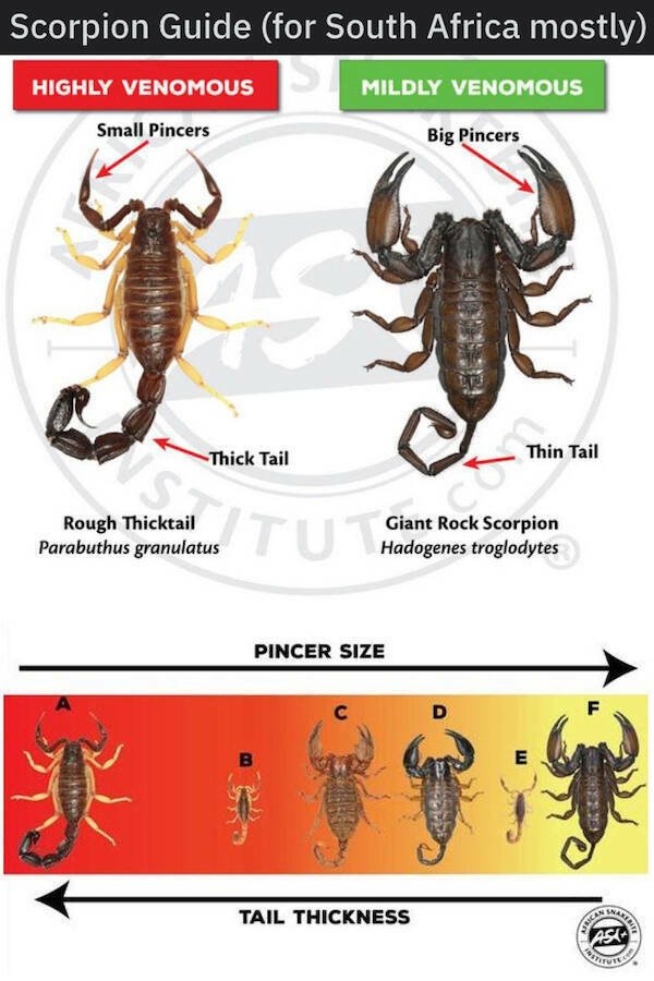 interestingdata22_017