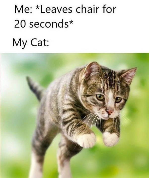 lifememes_015