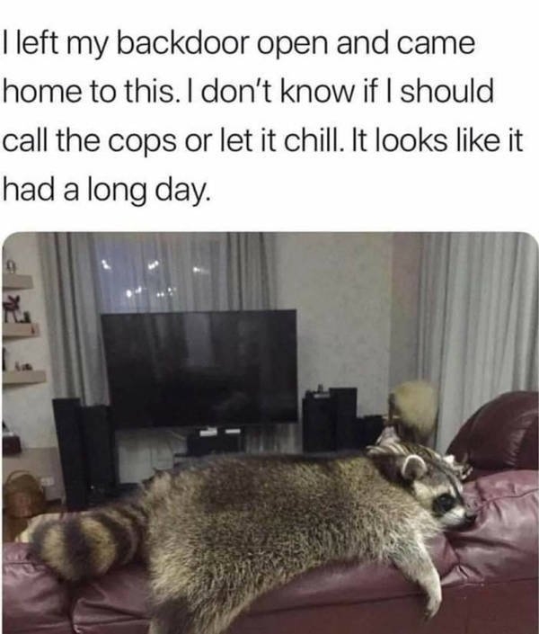 lifememes_020