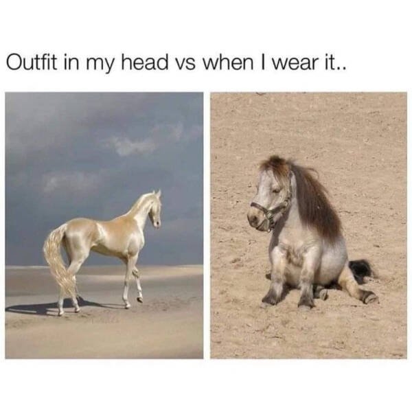 lifememes_028