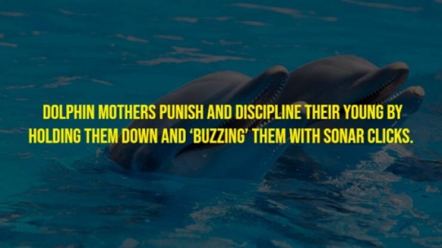 moviefacts21_001