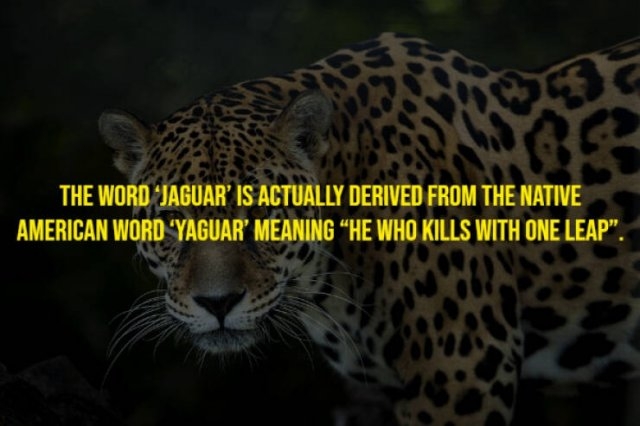 moviefacts21_002