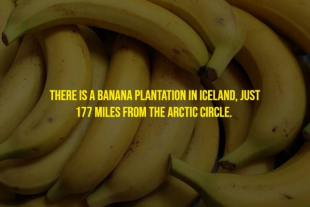 moviefacts21_005