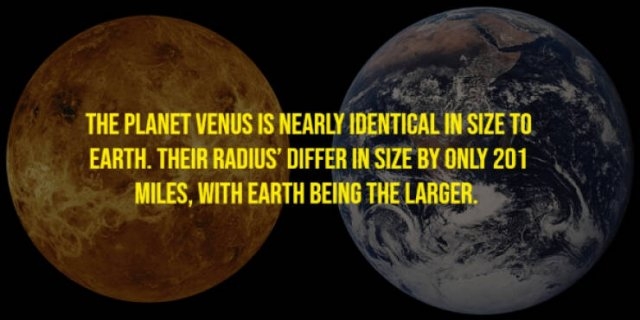 moviefacts21_006