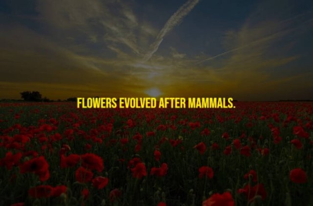 moviefacts21_007