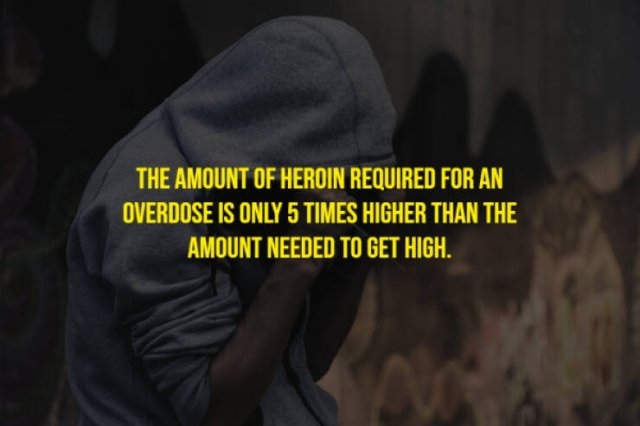 moviefacts21_008