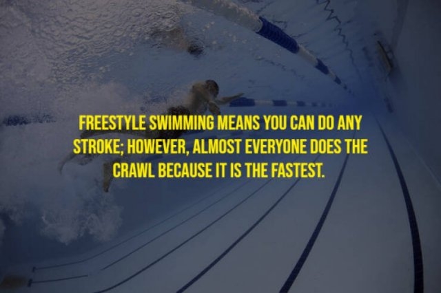 moviefacts21_009
