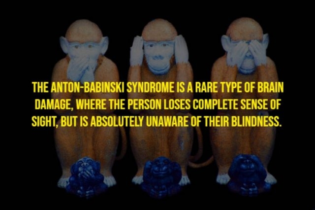 moviefacts21_010