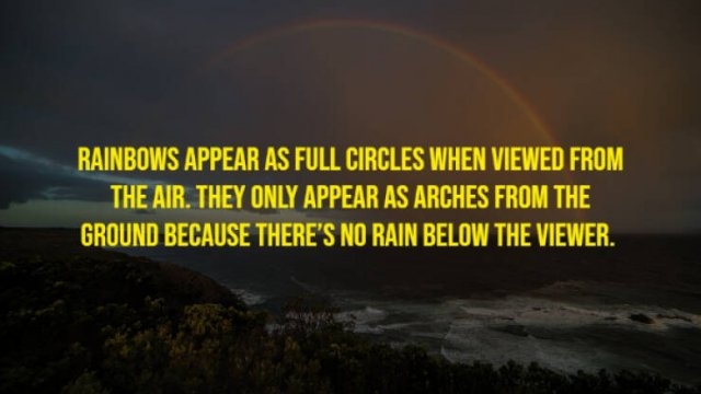 moviefacts21_014