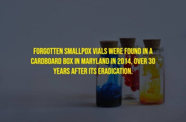 moviefacts21_015