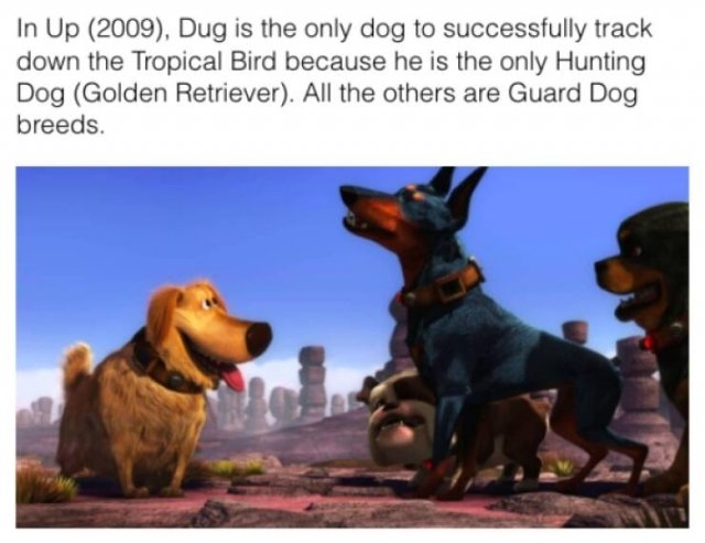 pixarfacts_027