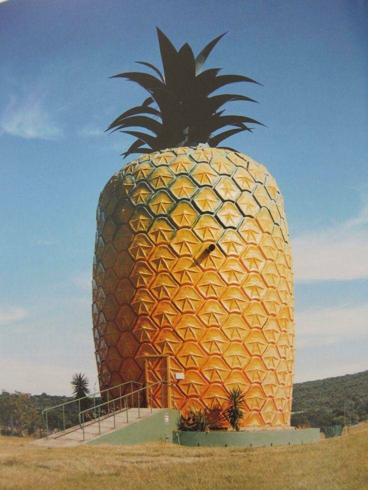 randompics622_053