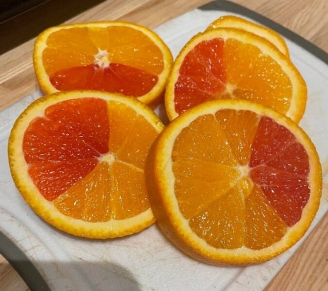 randompics627_058